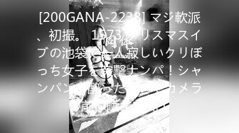 [200GANA-2238] マジ軟派、初撮。 1573 クリスマスイブの池袋で一人寂しいクリぼっち女子を突撃ナンパ！シャンパンで酔った勢いでカメラの前に晒す美乳！