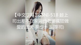 【中文字幕】SSNI-518 趁上司出差不在家與他老婆瘋狂做愛的三天 葵つかさ(葵司)